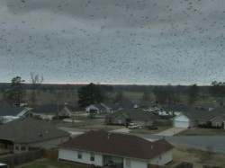 Omens of the Apocalypse