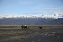 Alaska: The Last Frontier