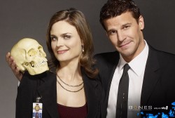 Bones