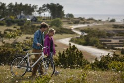 Inga Lindstrēma. Lilī zina labāk