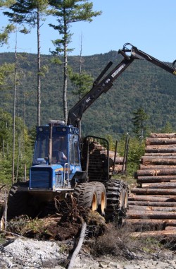 American Loggers
