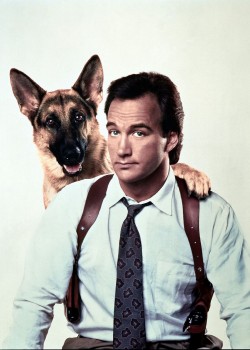 K-9