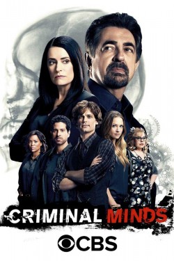 Criminal Minds: Beyond Borders