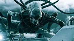 Tulnukas: Covenant