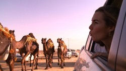 Wildest Middle East