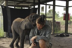 Naledi