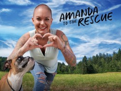 Amanda To the Rescue