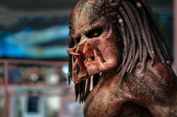 The Predator