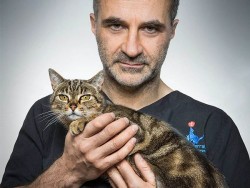 The Supervet