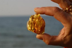 The Hunt for Baltic Gold