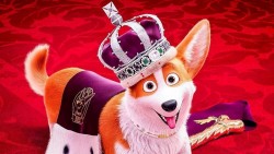 Kuninganna corgi