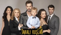 Sužeisti paukščiai
