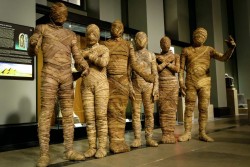 Museum Secrets