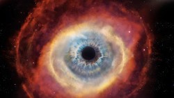 Cosmos: Possible Worlds
