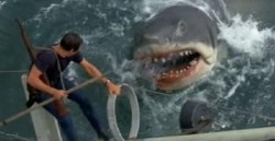 Shark Attack File