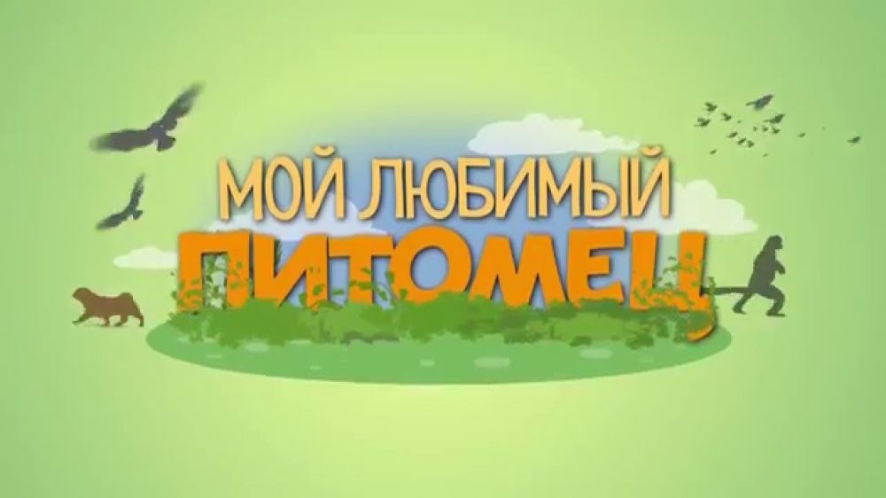 Картинки с надписью наши любимые питомцы, надписью скидка